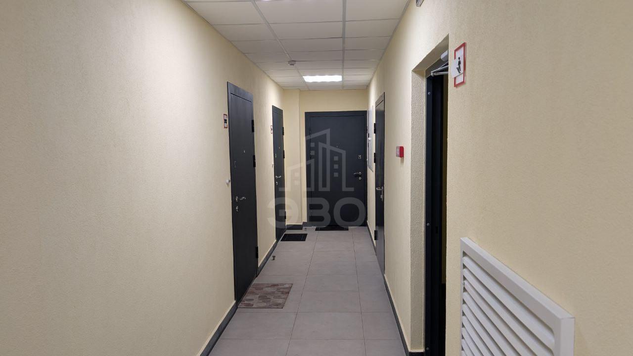 студия в Санкт-Петербурге по адресу: Будённого проспект, 23, к 1