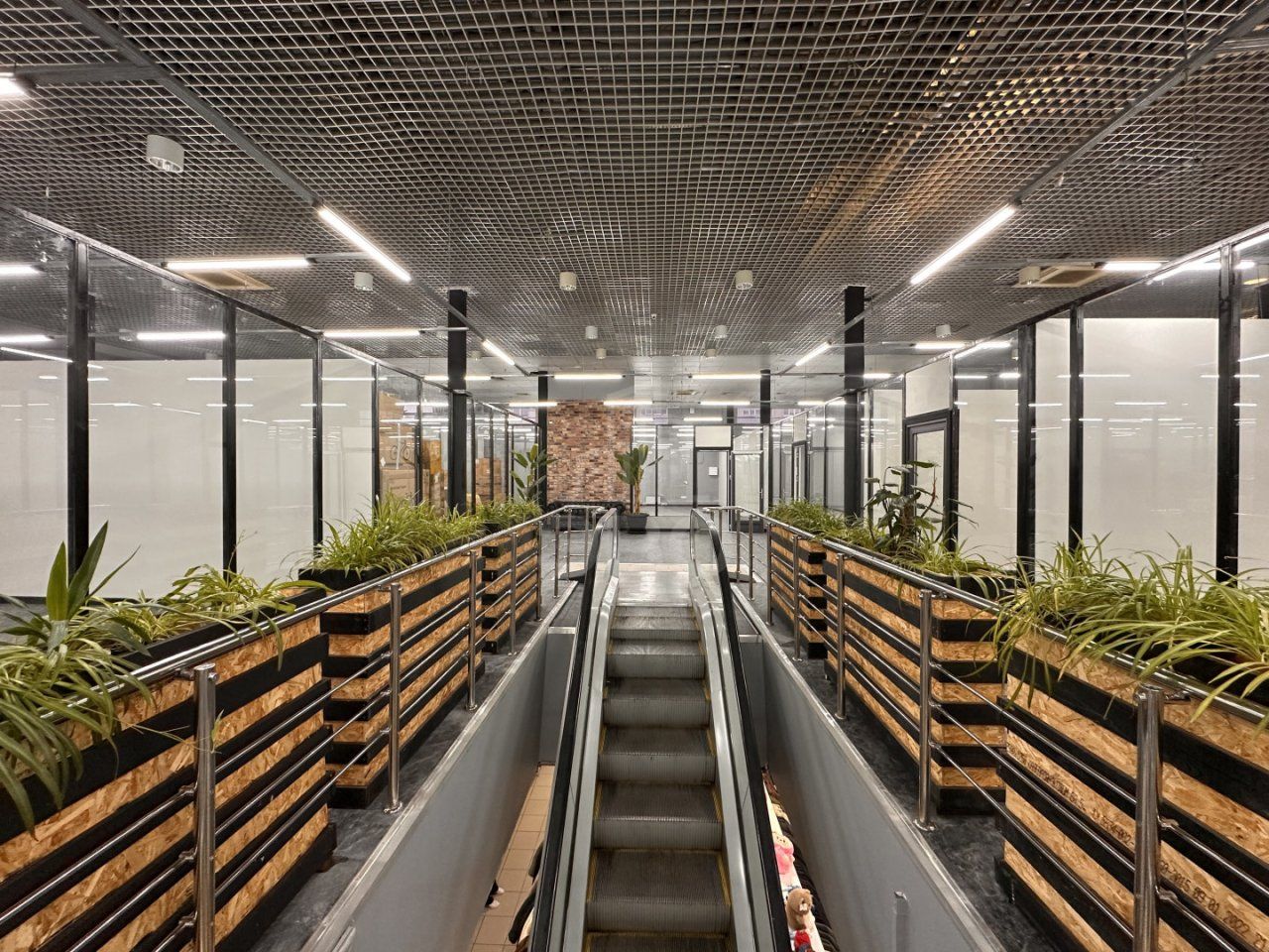 коммерция в Санкт-Петербург по адресу: Культуры проспект, 20