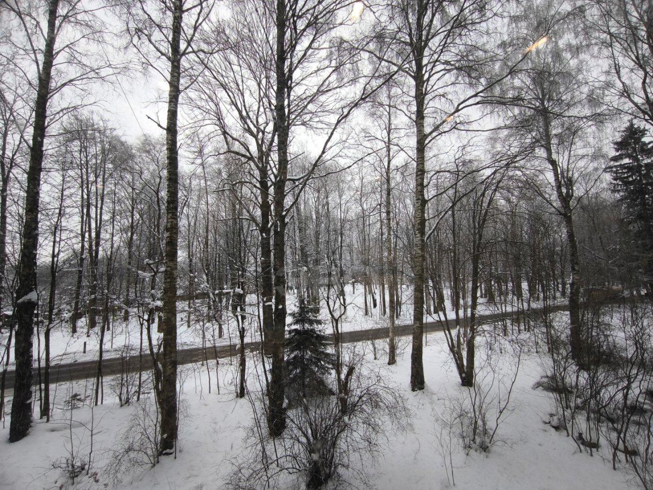 однокомнатная квартира в Санкт-Петербурге по адресу: Приозерское ш., 9