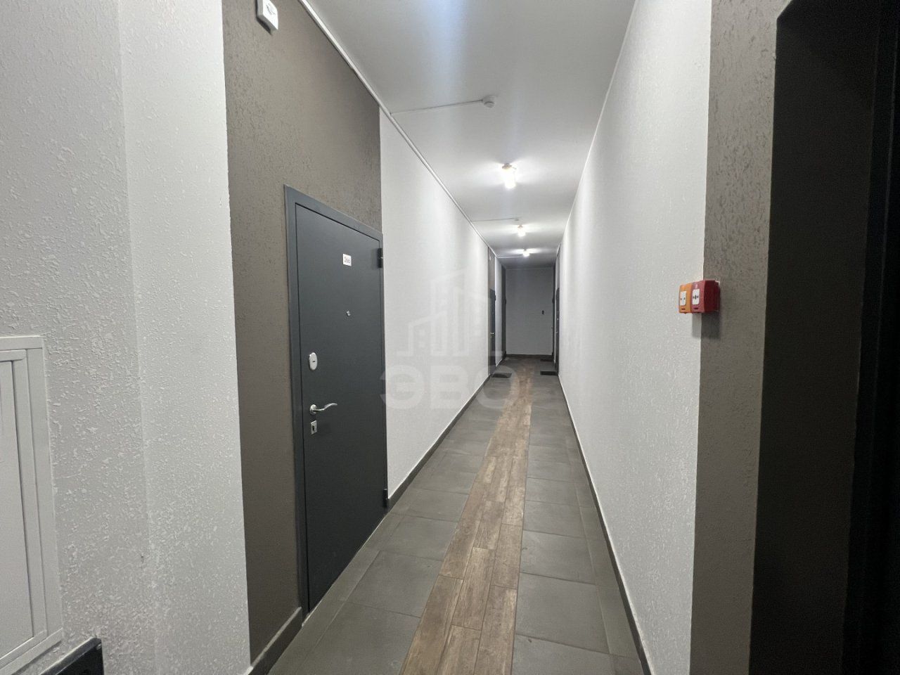 студия в Ленинградской области по адресу: Ручьевский проспект, 15