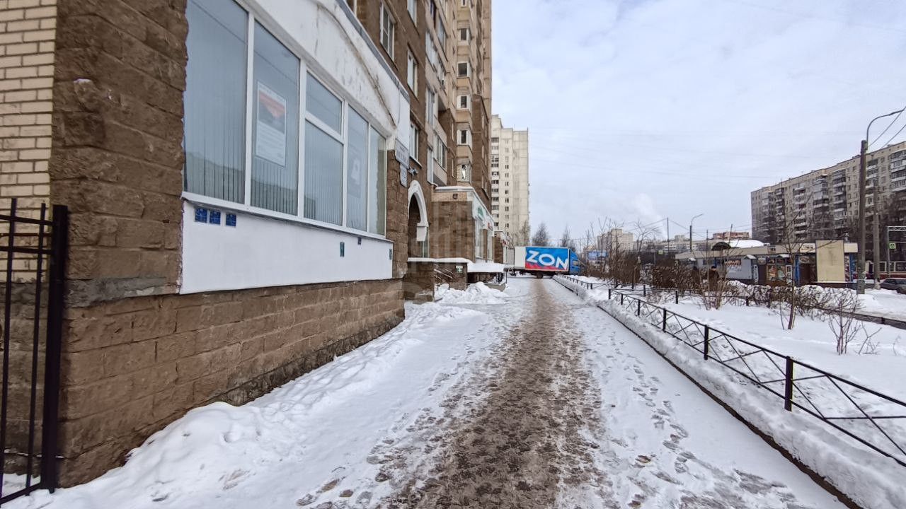 однокомнатная квартира в Санкт-Петербурге по адресу: Энгельса проспект, 132, к 1