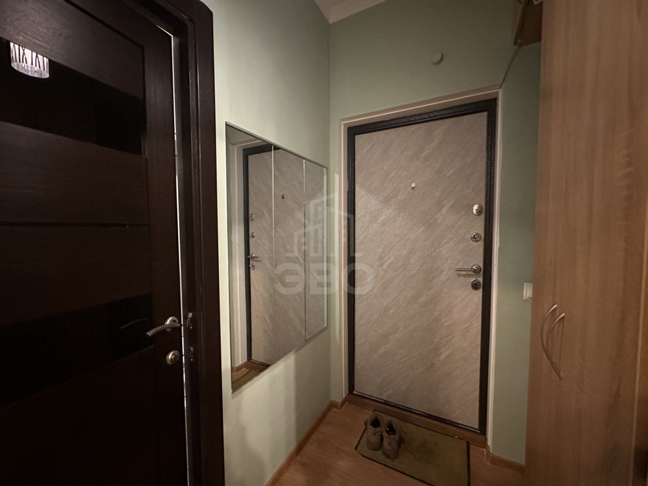 однокомнатная квартира в Ленинградской области по адресу: Пражская ул., 4