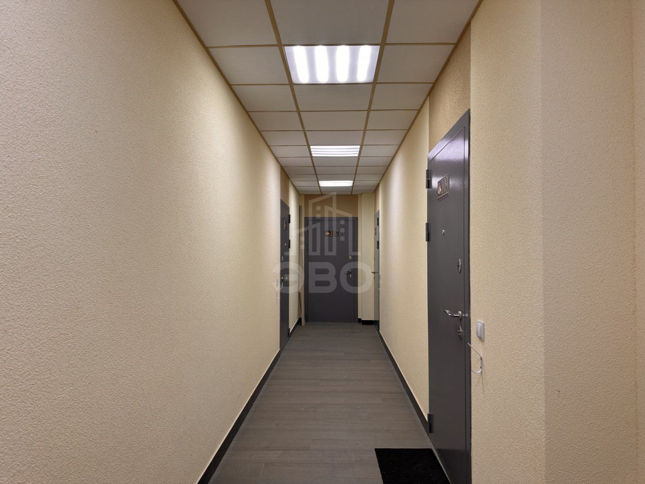 студия в Ленинградской области по адресу: Ясная ул., 20, к 6