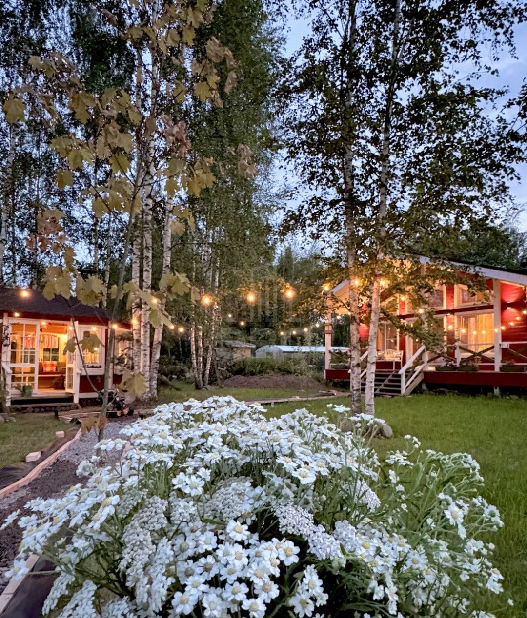 загородная недвижимость в Ленинградской области по адресу: Лосиный пер., 7