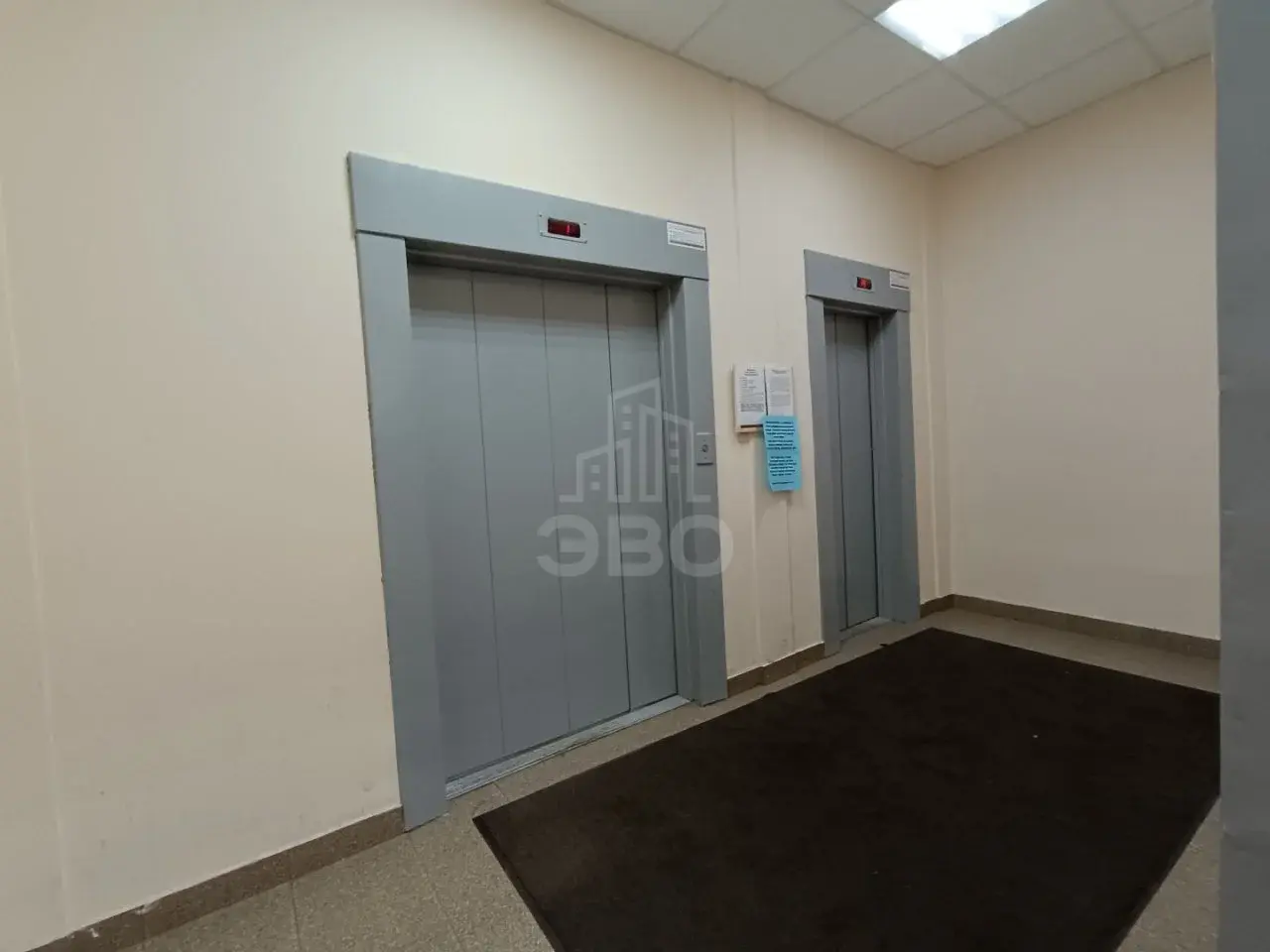 студия в Санкт-Петербурге по адресу: Солидарности проспект, 21, к 3, литера А