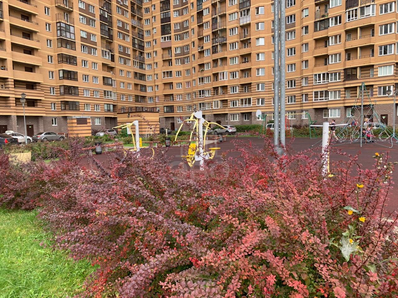 однокомнатная квартира в Ленинградской области по адресу: Шоссе в Лаврики ул., 55