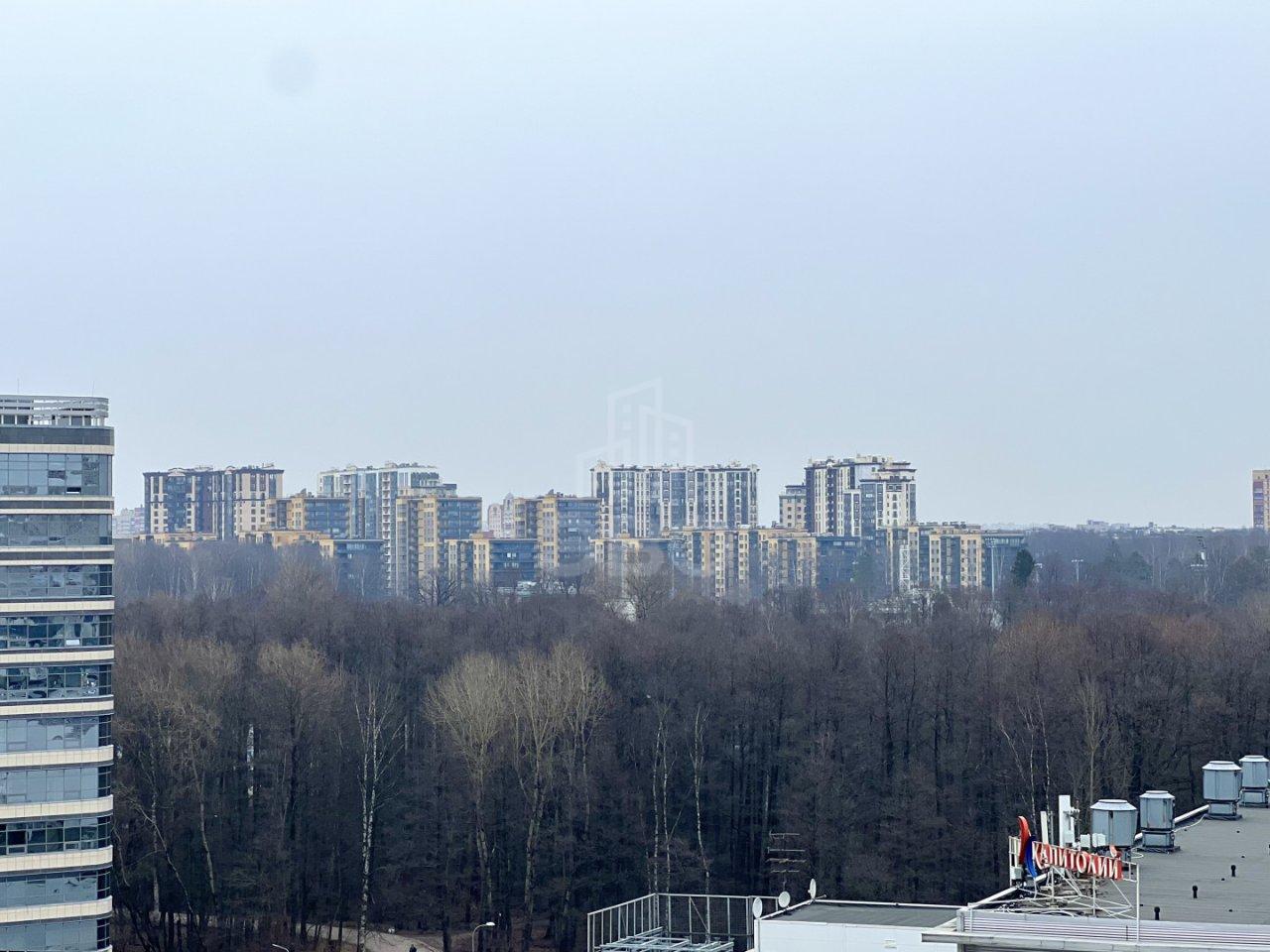 однокомнатная квартира в Санкт-Петербурге по адресу: Коломяжский проспект, 28, к 2