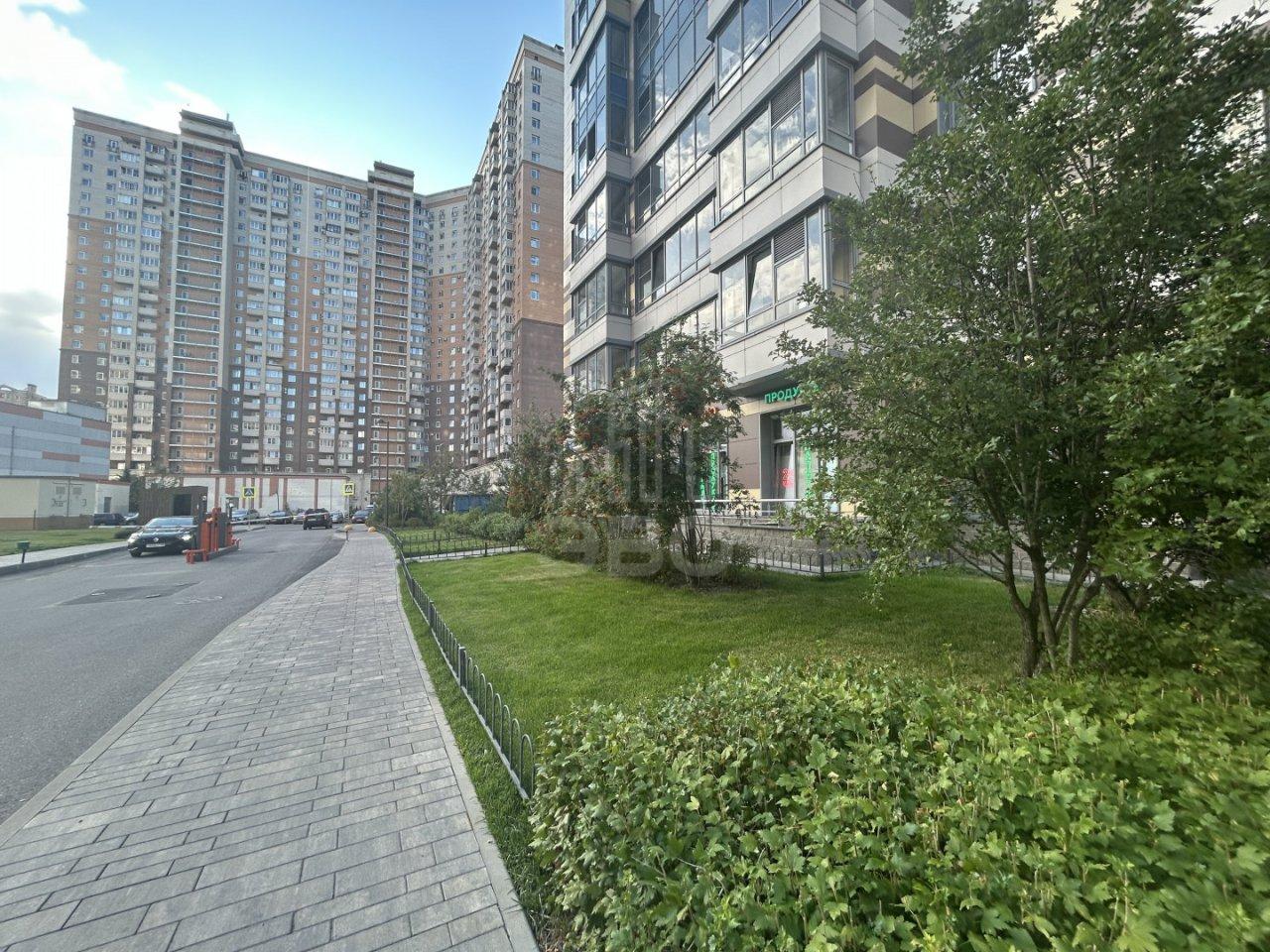 однокомнатная квартира в Санкт-Петербурге по адресу: Михаила Дудина ул., 25, к 1