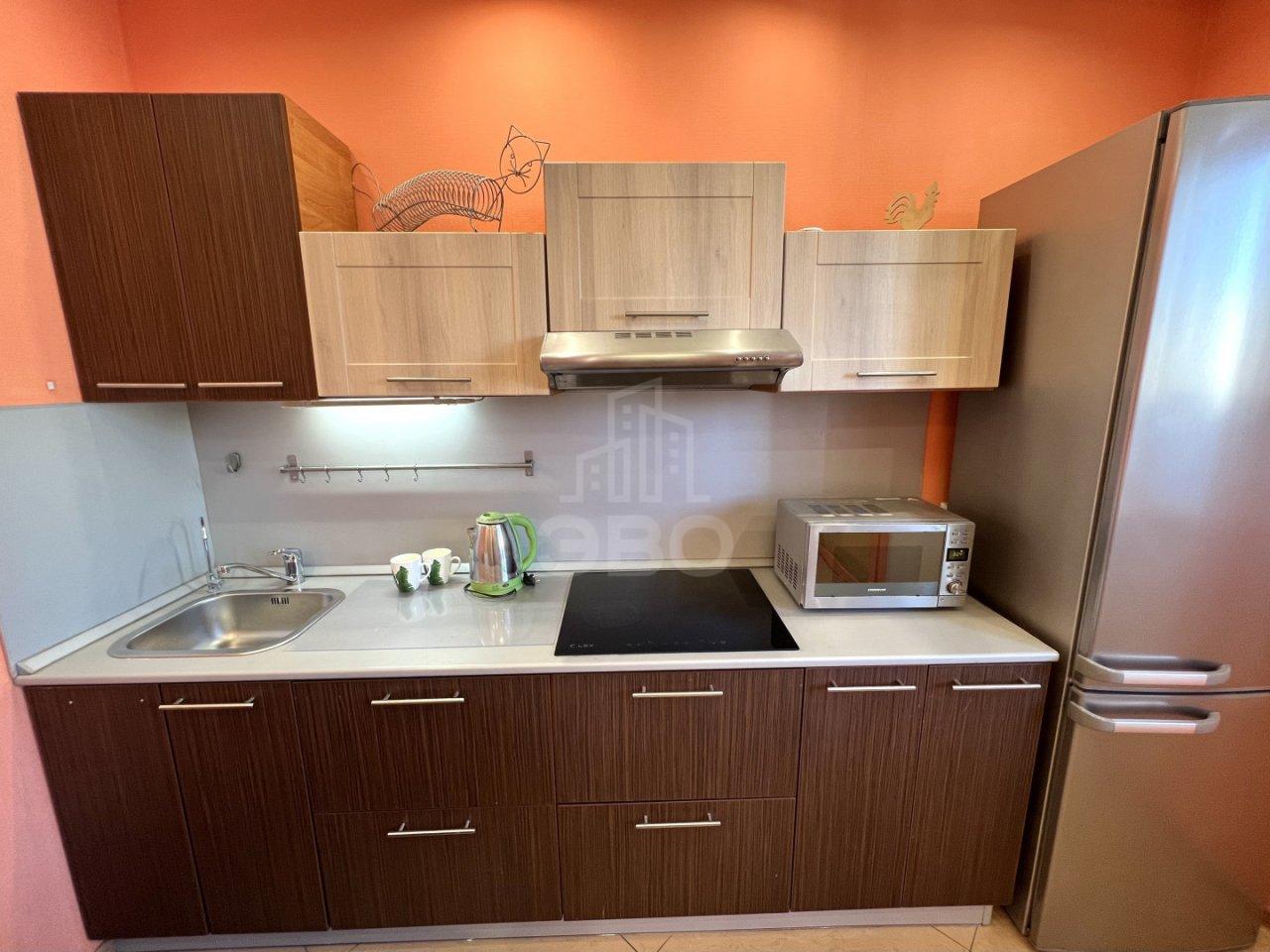 однокомнатная квартира в Санкт-Петербурге по адресу: Земледельческая ул., 5, к 2