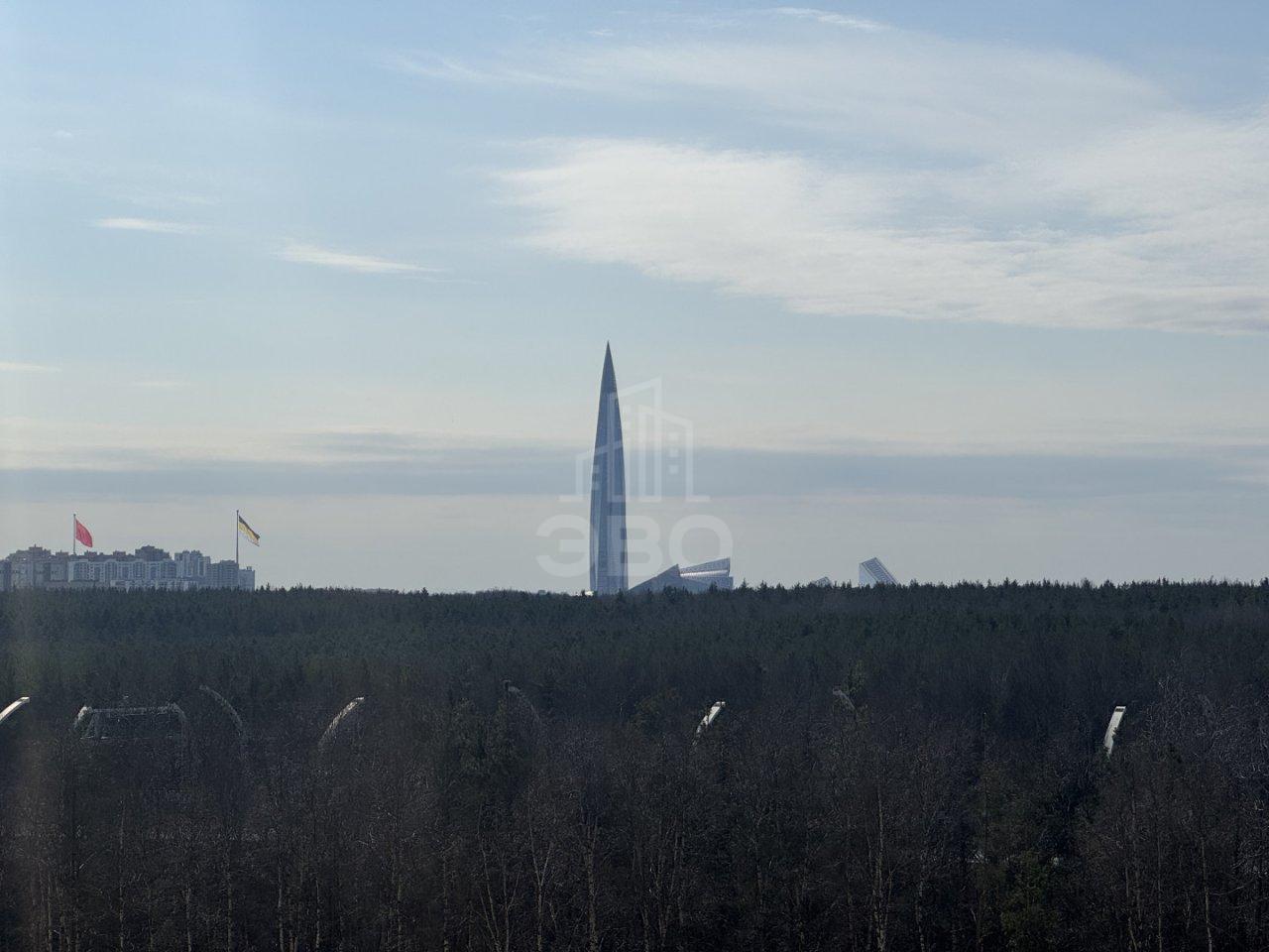 однокомнатная квартира в Санкт-Петербурге по адресу: Плесецкая ул., 2, строение 1