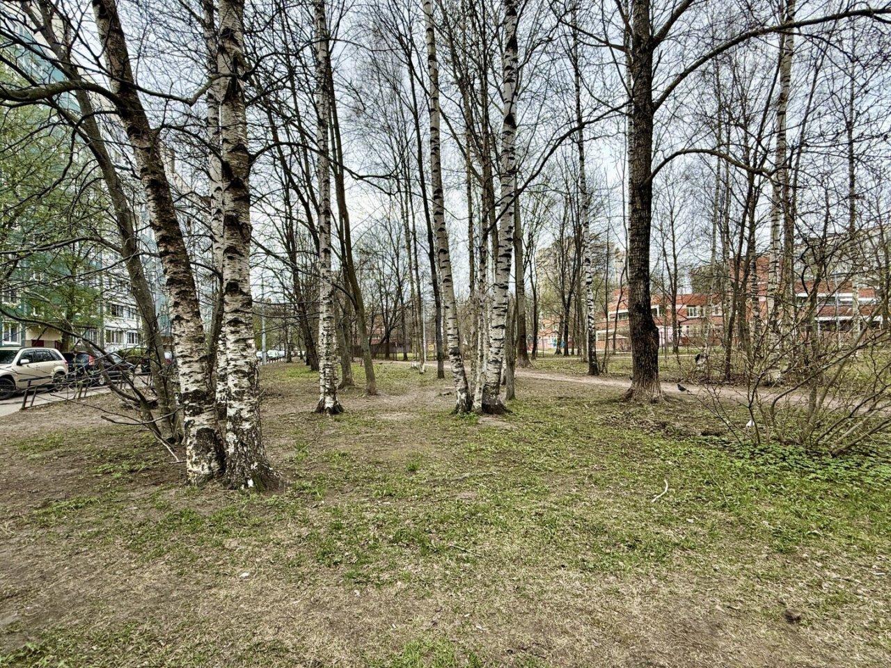 однокомнатная квартира в Санкт-Петербурге по адресу: Северный проспект, 14, к 2, литера А