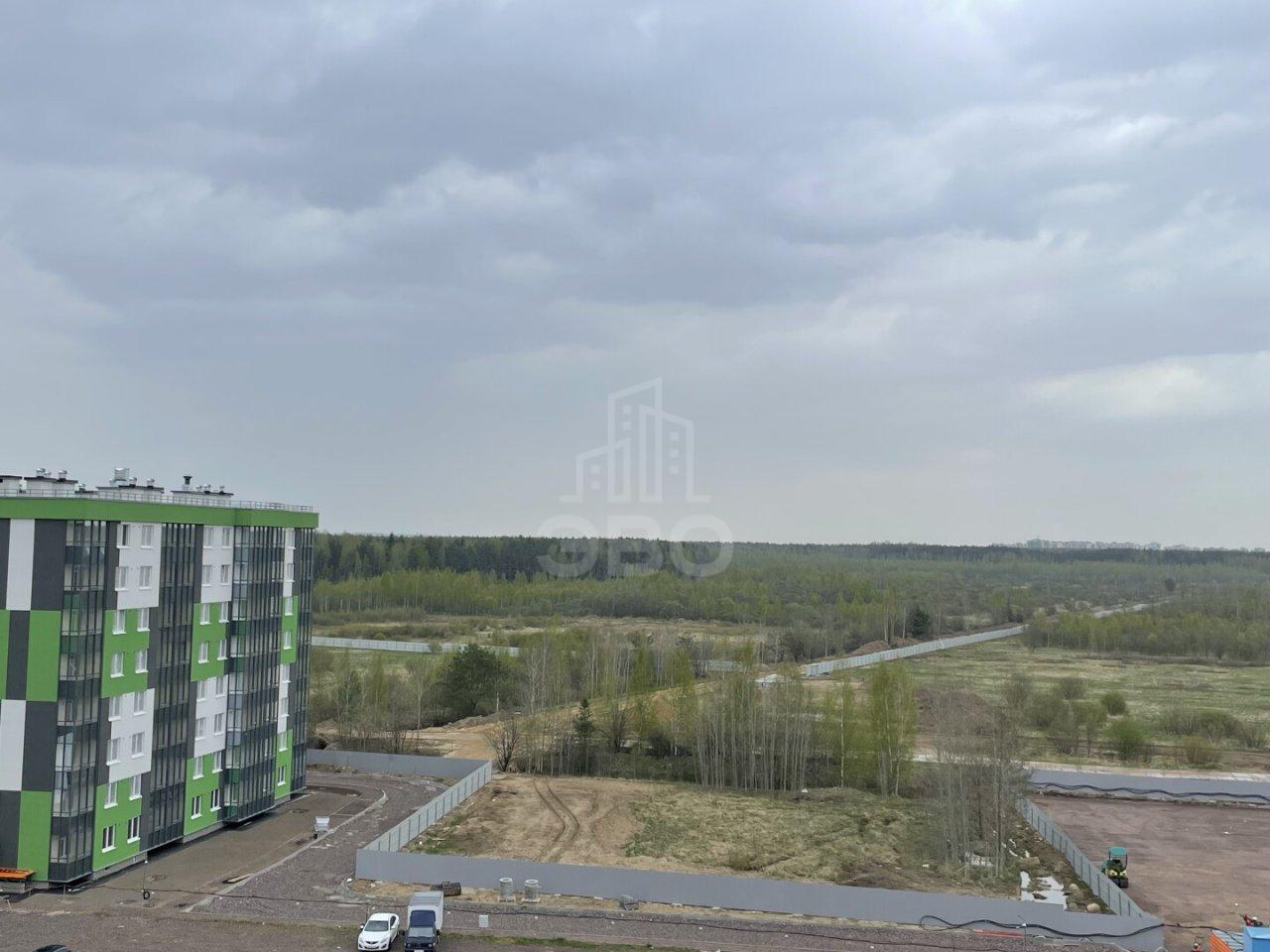 однокомнатная квартира в Ленинградской области по адресу: Ясная ул., 20, к 4