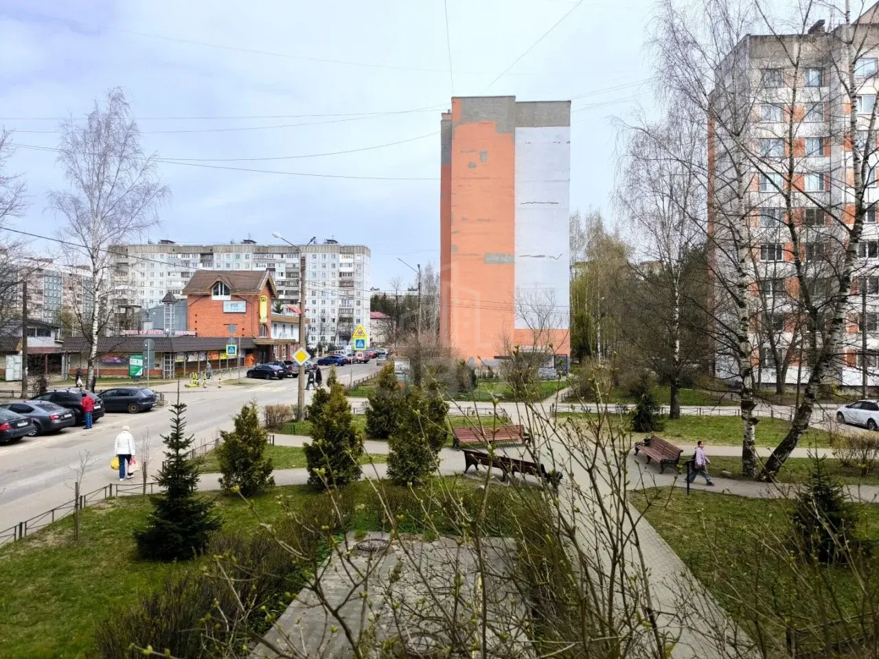 трехкомнатная квартира в Ленинградской области по адресу: Молодцова ул., 3