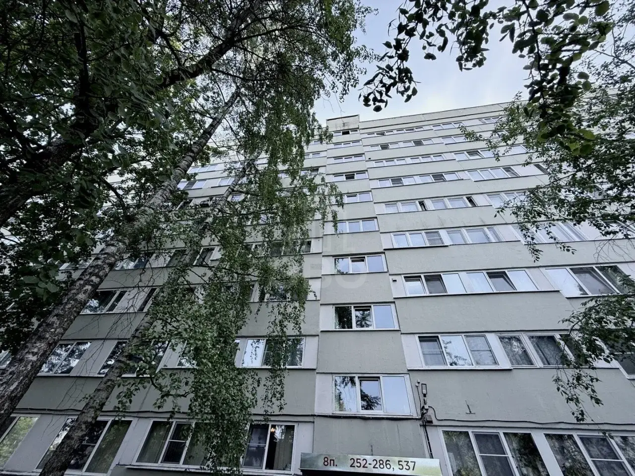 однокомнатная квартира в Санкт-Петербурге по адресу: Просвещения проспект, 20/25