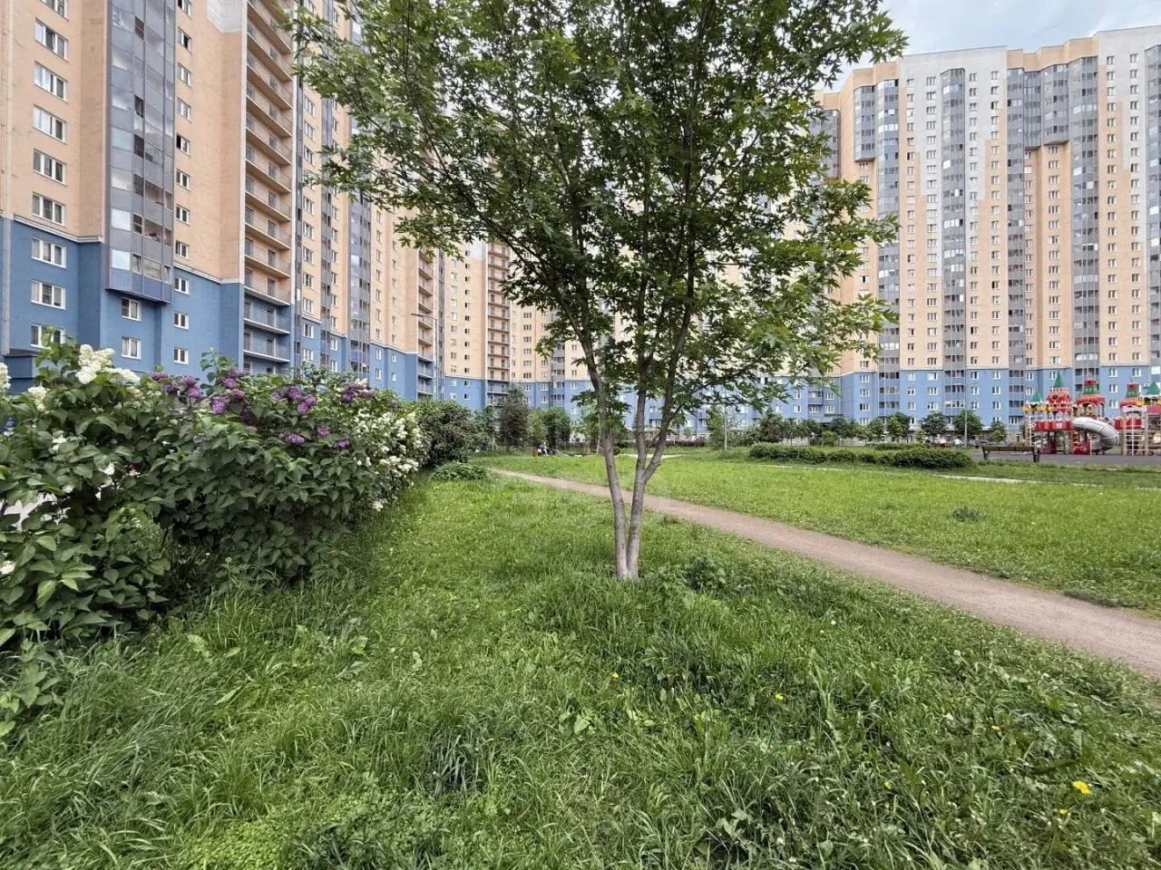 однокомнатная квартира в Санкт-Петербурге по адресу: Коллонтай ул., 5/1