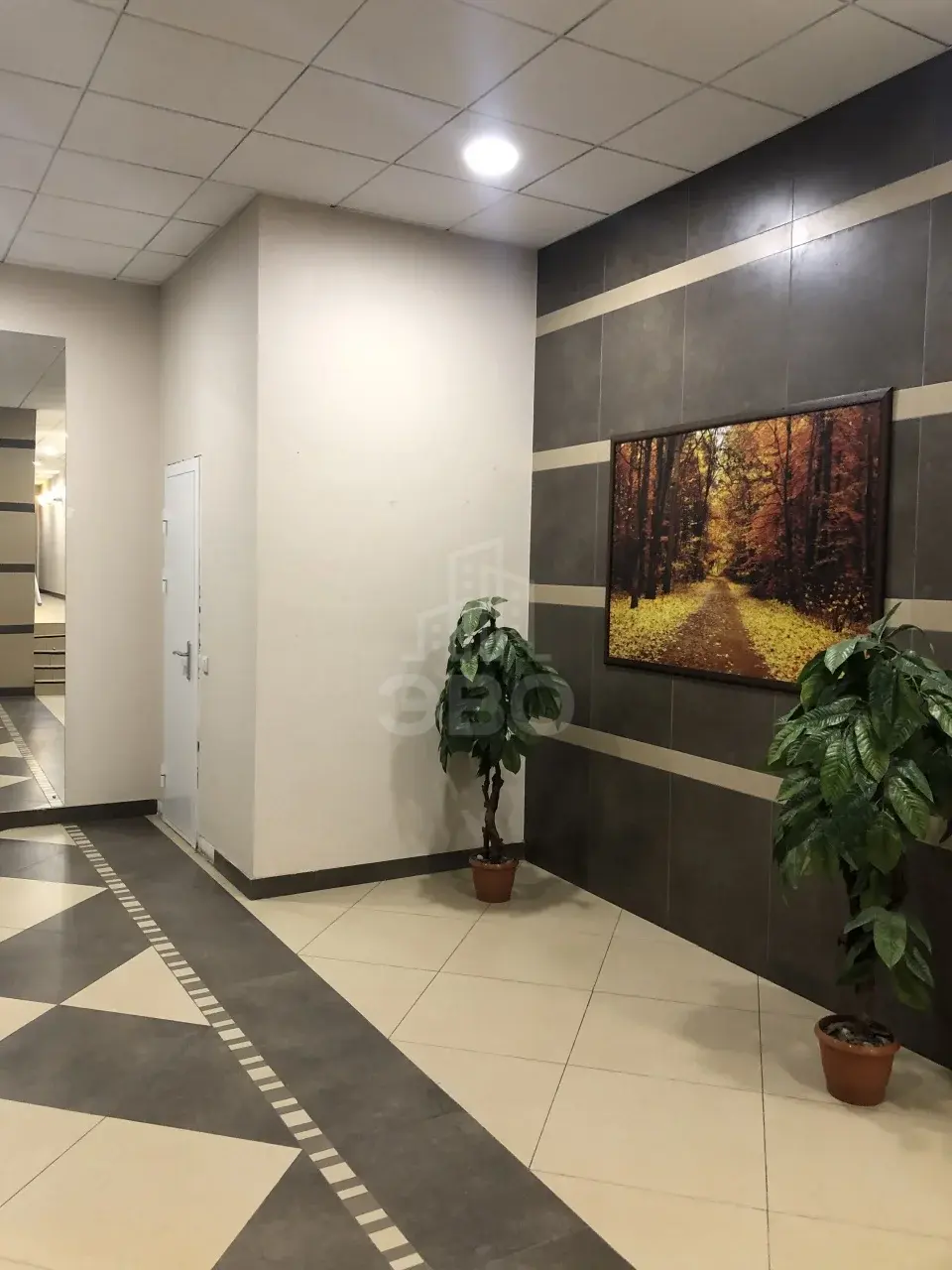 двухкомнатная квартира в Ленинградской области по адресу: Областная ул., 1