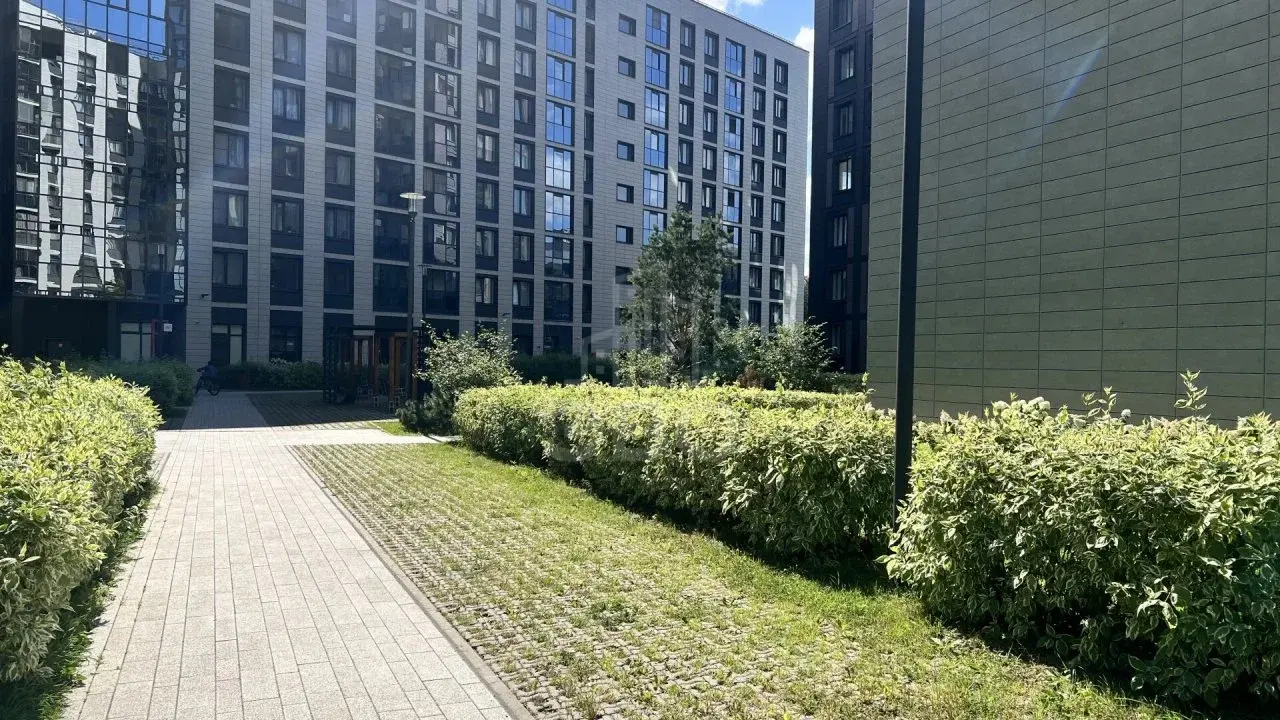 студия в Санкт-Петербурге по адресу: Светлановский проспект, 8