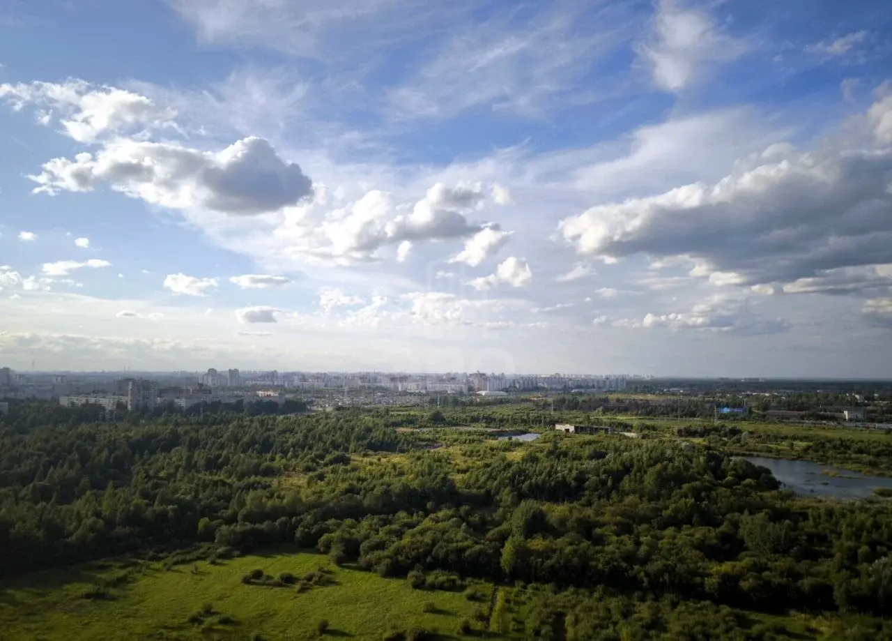 однокомнатная квартира в Ленинградской области по адресу: Областная ул., 9, к 1