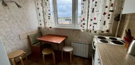 однокомнатная квартира в Санкт-Петербурге по адресу: Энгельса проспект, 113, к 2