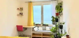 двухкомнатная квартира в Санкт-Петербурге по адресу: Измайловский б-р., 11, литера а, строение 1