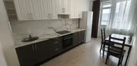 однокомнатная квартира в Ленинградской области по адресу: Графская ул., 2