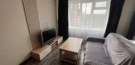 однокомнатная квартира в Санкт-Петербурге по адресу: Краснопутиловская ул., 121