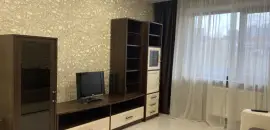 однокомнатная квартира в Санкт-Петербурге по адресу: Камышовая ул., 52, к 3