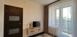 однокомнатная квартира в Санкт-Петербурге по адресу: Арцеуловская аллея, 19