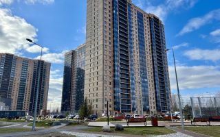 студия в Санкт-Петербург по адресу: Шишкина ул., 311, строение 1