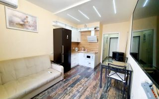 студия в Ленинградская область по адресу: Столичная ул., 11, к 1