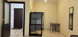 однокомнатная квартира в Санкт-Петербурге по адресу: Науки проспект, 17, к 2