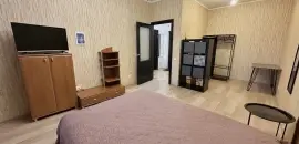 однокомнатная квартира в Санкт-Петербурге по адресу: Науки проспект, 17, к 2