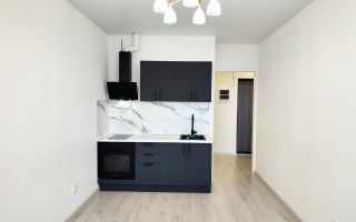 однокомнатная квартира в Санкт-Петербург по адресу: Чирикова ул., 5, строение 1