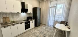 однокомнатная квартира в Санкт-Петербурге по адресу: Манчестерская ул., 3, к 1