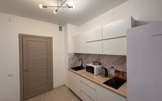 однокомнатная квартира в Санкт-Петербурге по адресу: Старорусский проспект, 5, к 1, строение 1