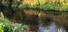 загородная недвижимость в Санкт-Петербурге по адресу: Ленинградская область, Гатчинский район, Ковшово д., д.72