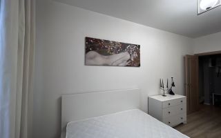 однокомнатная квартира в Санкт-Петербург по адресу: Архивная ул., 11, к 3