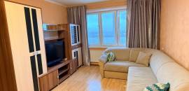 однокомнатная квартира в Санкт-Петербурге по адресу: Пулковское ш., 20, к 4