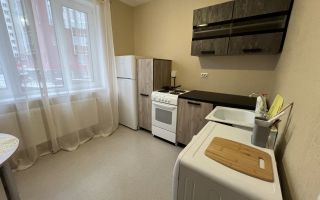 однокомнатная квартира в Санкт-Петербург по адресу: Ленинский проспект, 68