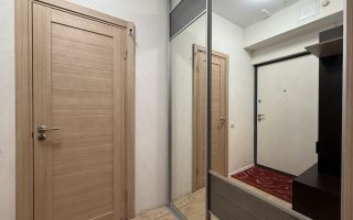 однокомнатная квартира в Санкт-Петербург по адресу: Дальневосточный проспект, 27, к 3, строение 1