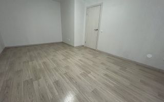 однокомнатная квартира в Санкт-Петербург по адресу: Ленинский проспект, 68