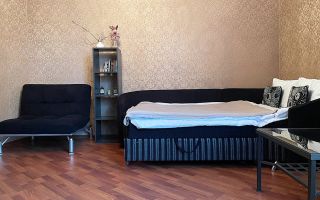 однокомнатная квартира в Санкт-Петербург по адресу: Новочеркасский проспект, 41/14