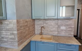 однокомнатная квартира в Санкт-Петербурге по адресу: Заводская ул., 15