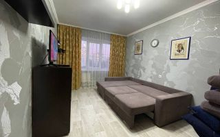 однокомнатная квартира в Санкт-Петербурге по адресу: Коллонтай ул., 15, к 2