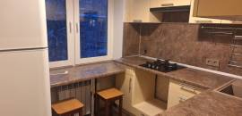 однокомнатная квартира в Санкт-Петербурге по адресу: Науки проспект, 45