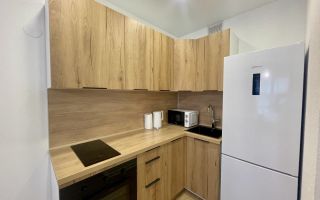 однокомнатная квартира в Ленинградской области по адресу: Невская ул., 17, к 1