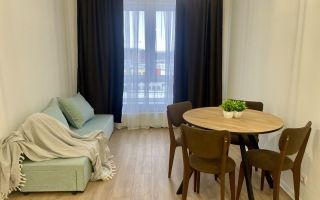 однокомнатная квартира в Ленинградской области по адресу: Невская ул., 17, к 1