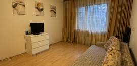 однокомнатная квартира в Санкт-Петербурге по адресу: Уточкина ул., 1, к 1