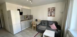 студия в Ленинградской области по адресу: Современников ул., 7