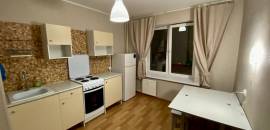 однокомнатная квартира в Санкт-Петербурге по адресу: Фёдора Абрамова ул., 20, к 1, литера А, строение 1